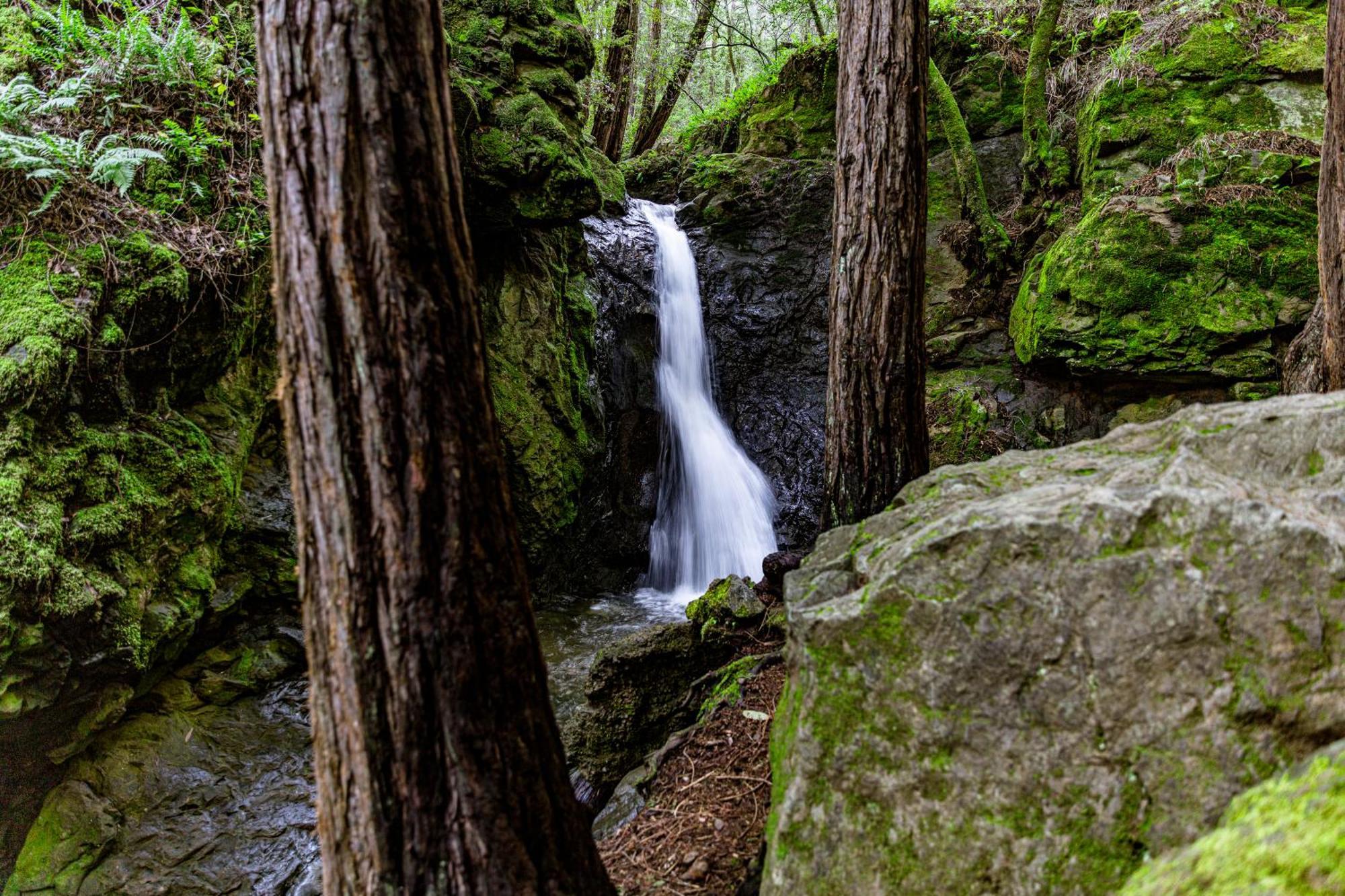 Enchanted Waterfall Sanctuary Mill Valley Exterior photo