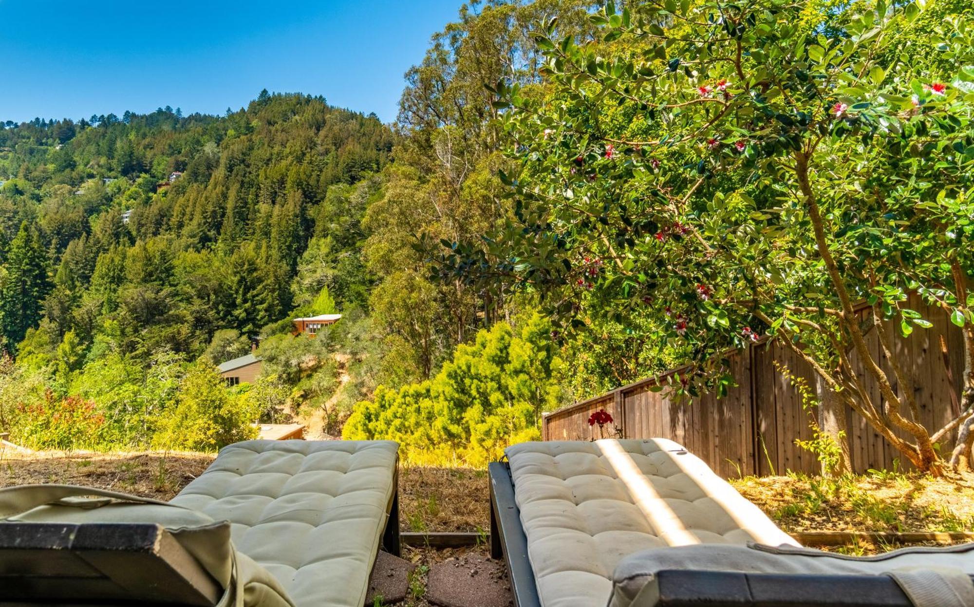 Enchanted Waterfall Sanctuary Mill Valley Exterior photo